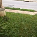 American Lawn Mower Company 14″ (35.6 cm) 4-Blade Manual Reel Mower – 5-Position Height, 20 lb (9.1 kg) photo review