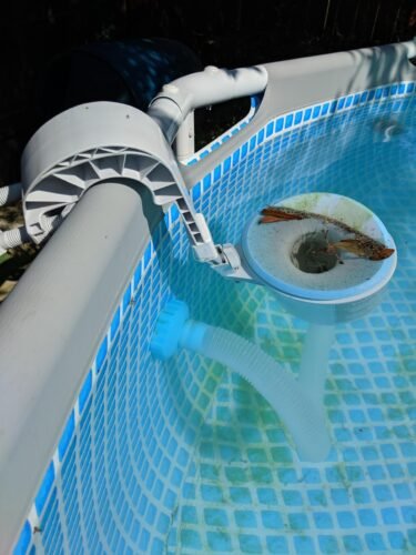 Intex 26701EH Prism Frame 10ft (3.05m) x 30in (76cm) Above Ground Pool Set – 1,185 Gallon (4,486L) Capacity with Filter Pump – Rust & Puncture Resistant, Quick Setup photo review