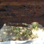 CosmoGrill Pro Deluxe 4+1 Gas Barbecue Grill – 5 Burner Outdoor BBQ with Side Burner, Warming Rack, Thermometer – Large Family Garden Grill (Model 93411) photo review