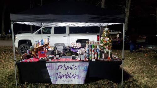 ZeroKor 300W Portable Solar Generator with 60W Foldable Panel – 280Wh Lithium Battery Power Station – Pure Sine Wave 110V AC/DC/USB Outlets – 5.1 lbs (2.3 kg) Lightweight – for RV, Home Backup, Camping photo review