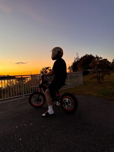 Soleil 01 2000 W Electric Dirt Bike – 14″ / 12″ Fat-Tyre, 48 V 21 Ah Battery, 37 mph / 60 km h⁻¹, Dual Suspension photo review