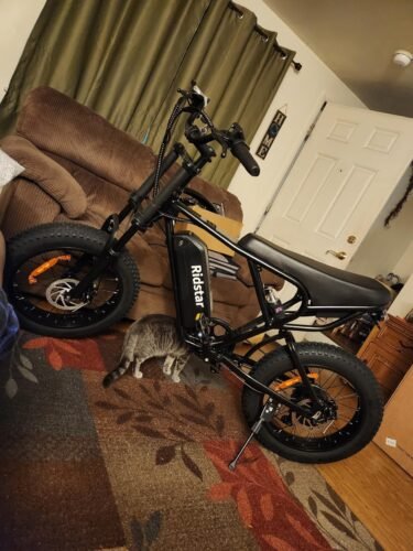 Ridstar Q20 20″ Fat-Tyre Electric Dirt Bike – Peak 1500 W motor, 48 V 15.6 Ah battery (30-75 mi range), 30 mph top-speed photo review