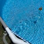 Intex 26701EH Prism Frame 10ft (3.05m) x 30in (76cm) Above Ground Pool Set – 1,185 Gallon (4,486L) Capacity with Filter Pump – Rust & Puncture Resistant, Quick Setup photo review